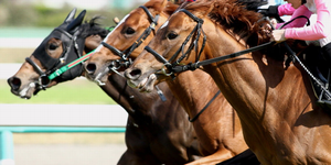 【レース】GT天皇賞(春)◆京都で稼ぐ方法【攻略】